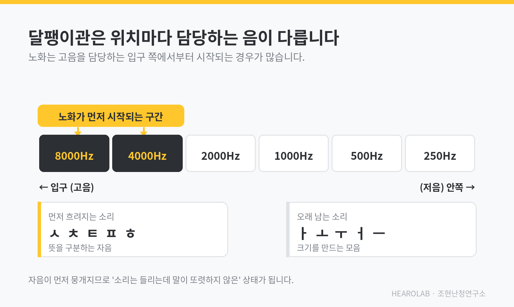 달팽이관 위치별 담당 주파수와 노인성난청의 고음역 저하를 보여주는 인포그래픽